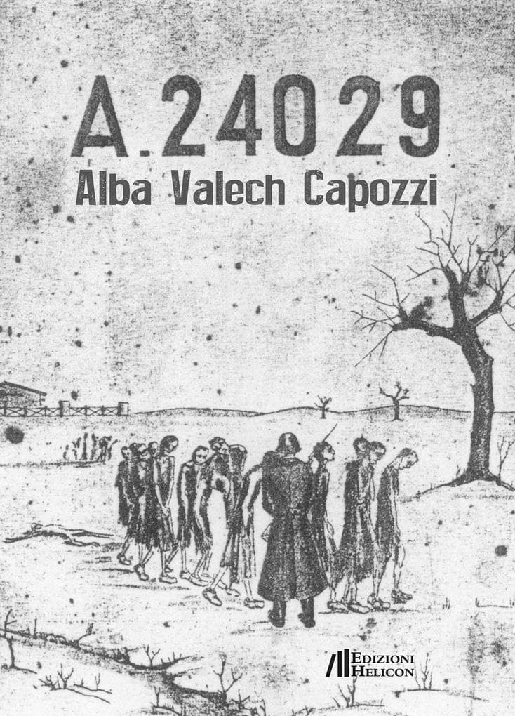 A.24029