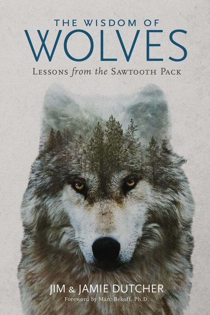 The Wisdom of Wolves: Lessons from the Sawtooth Pack