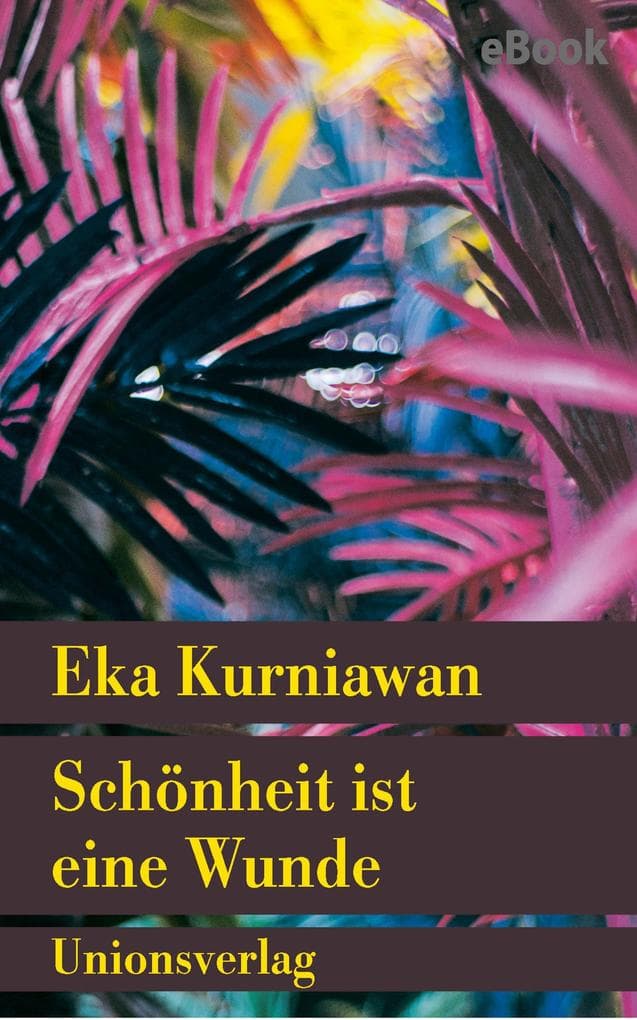 Schönheit ist eine Wunde: Roman