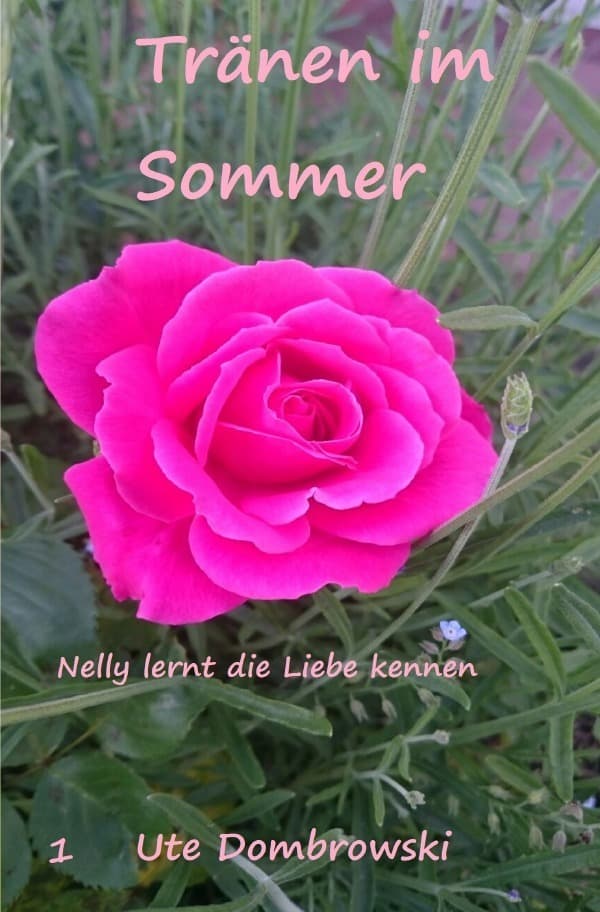 Nelly / Tränen im Sommer