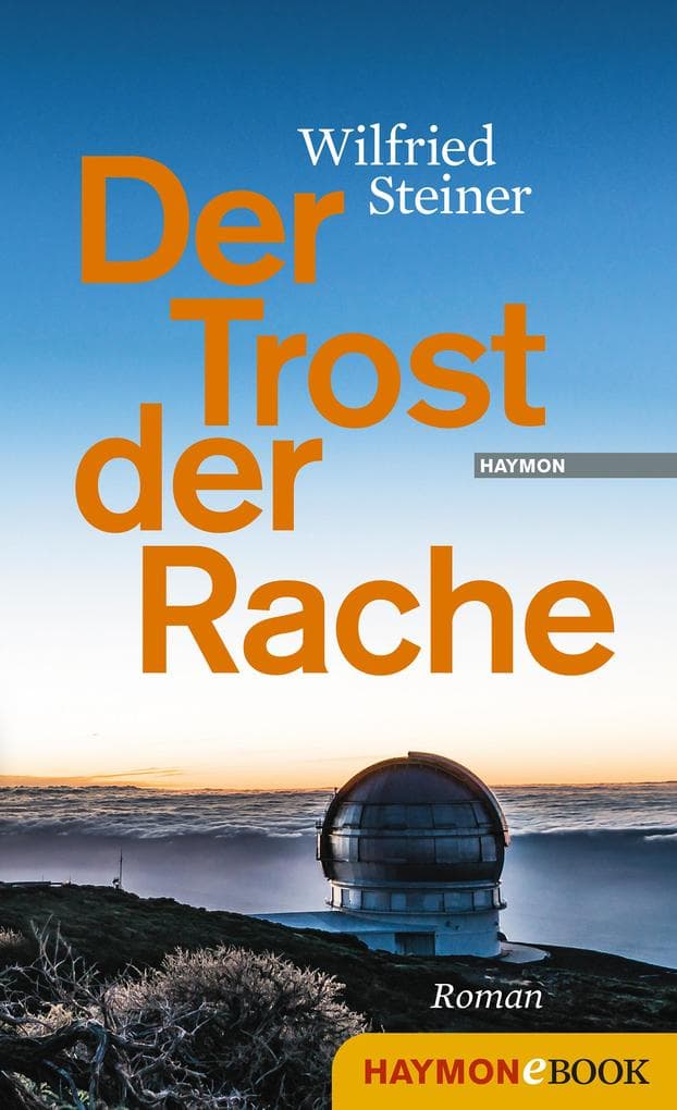 Der Trost der Rache: Roman
