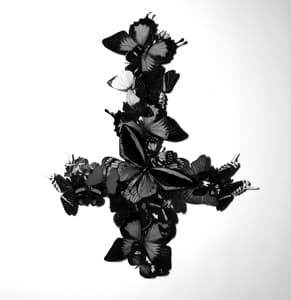 Never Forever (2LP)