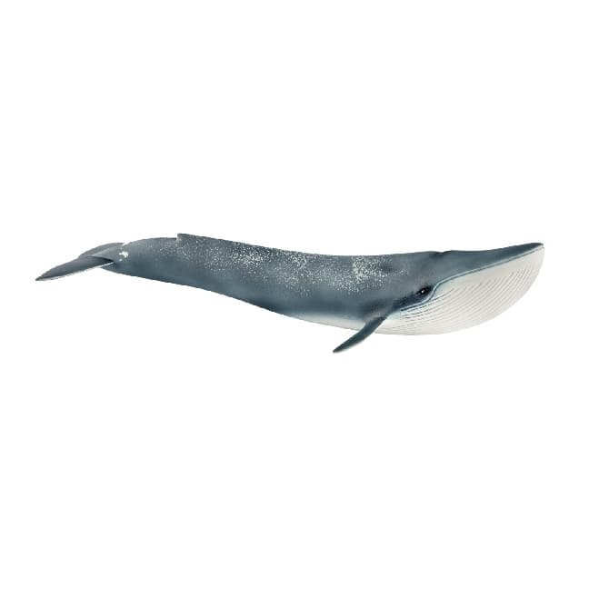 Schleich - Wild Life - Blauwal