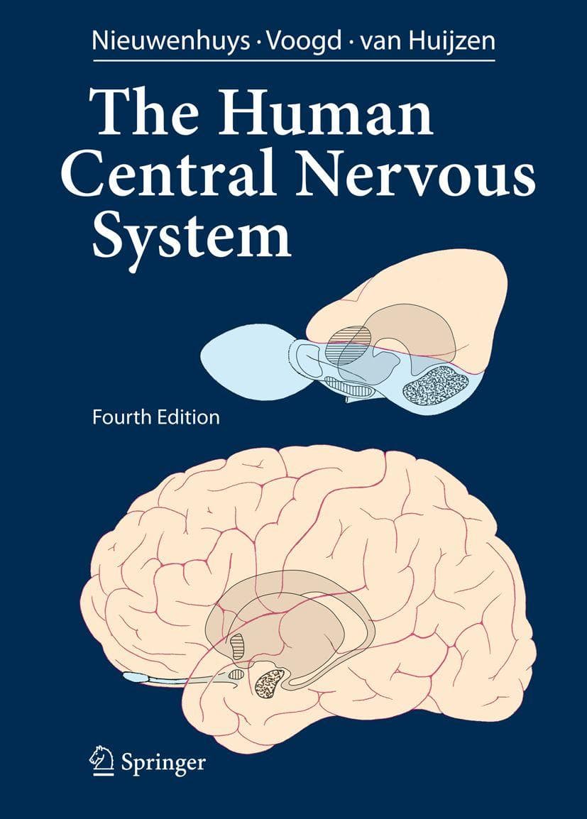 The Human Central Nervous System