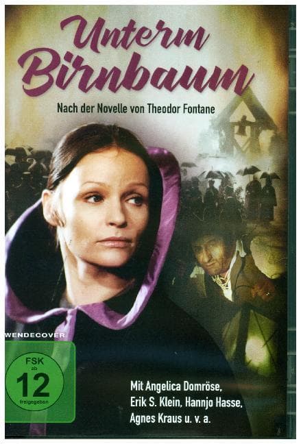 Unterm Birnbaum, 1 DVD