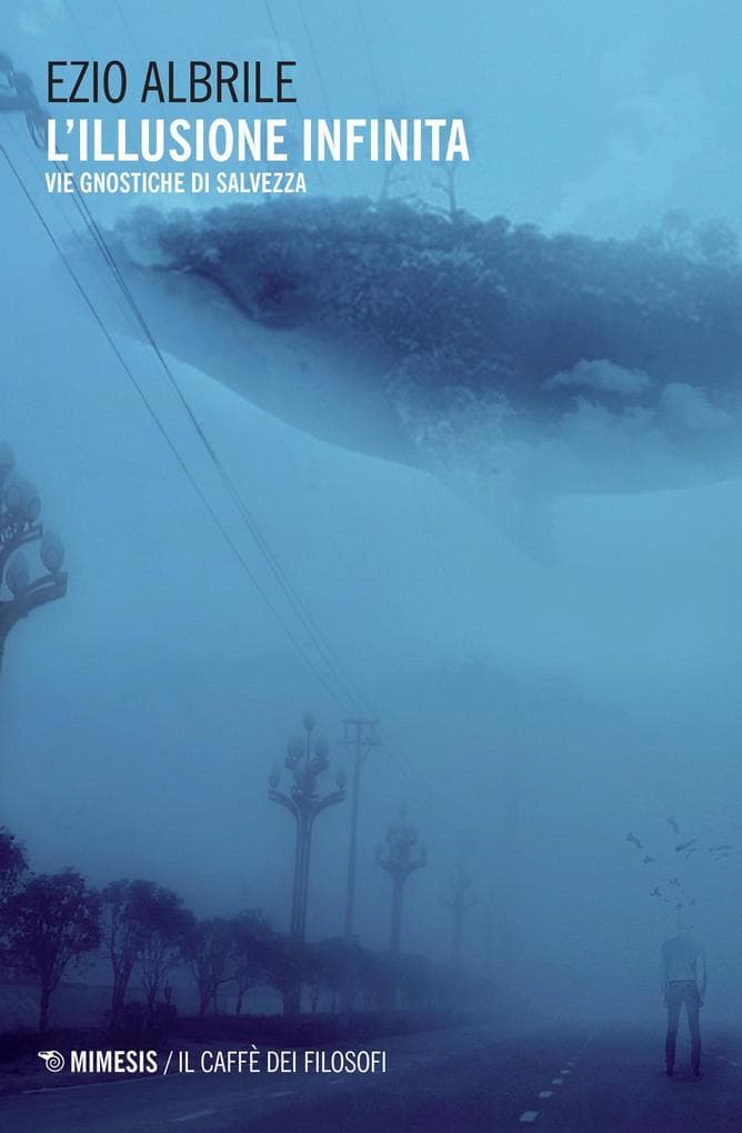 L' illusione infinita. Vie gnostiche di salvezza