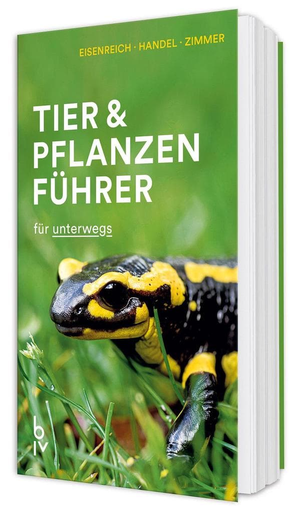 Der BLV Tier & Pflanzenführer