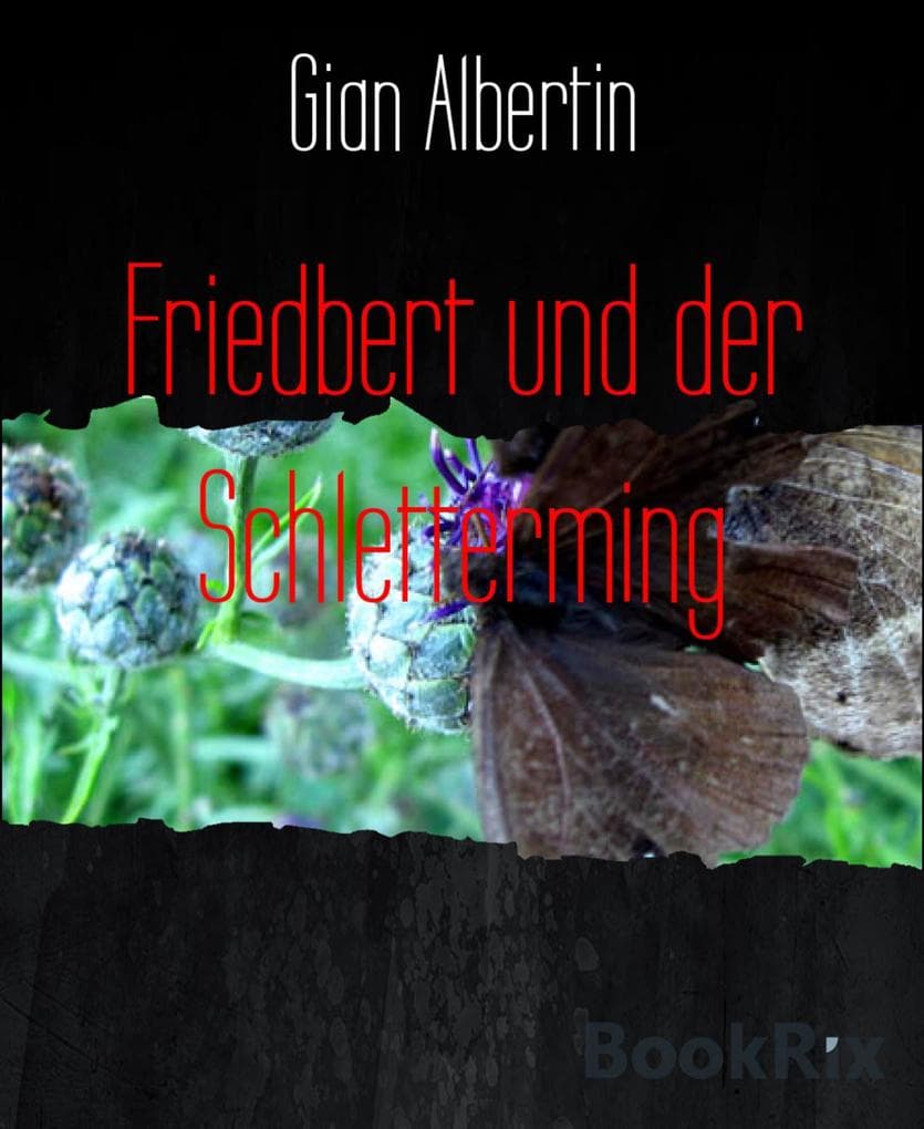 Friedbert und der Schletterming