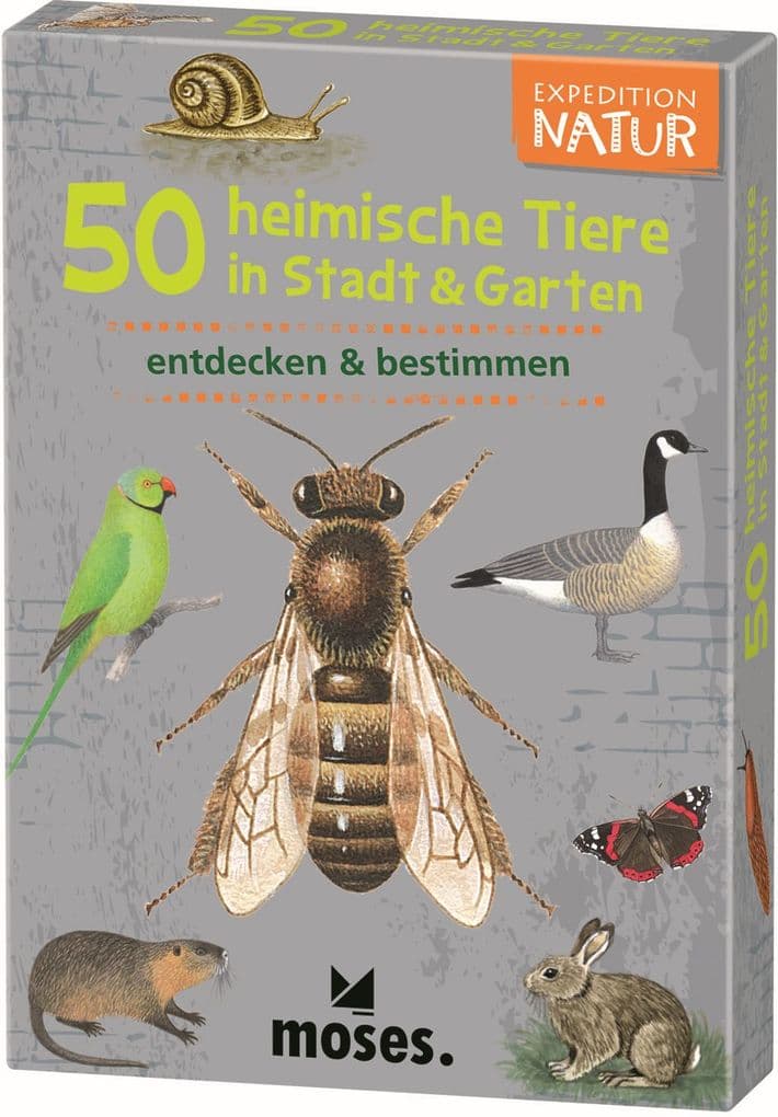 moses. - Expedition Natur 50 heimische Tiere in Stadt & Garten
