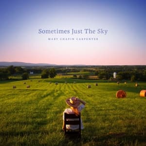 Sometimes Just the Sky (2LP)