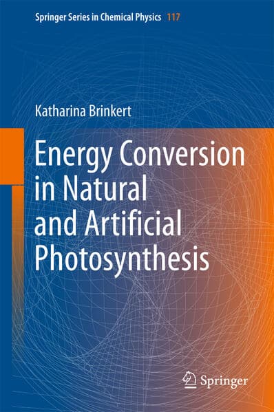 Energy Conversion in Natural and Artificial Photosynthesis