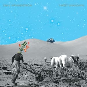 Sweet Unknown (2LP)