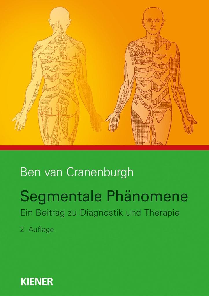 Segmentale Phänomene