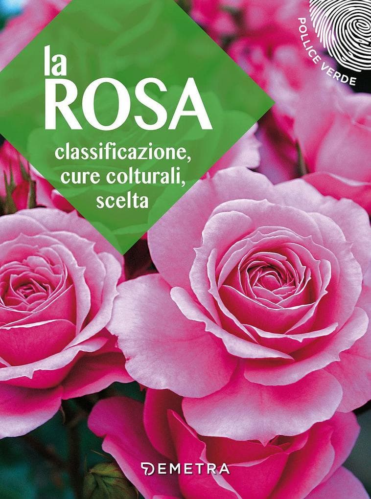 La rosa. Classificazione, cure colturali, scelta