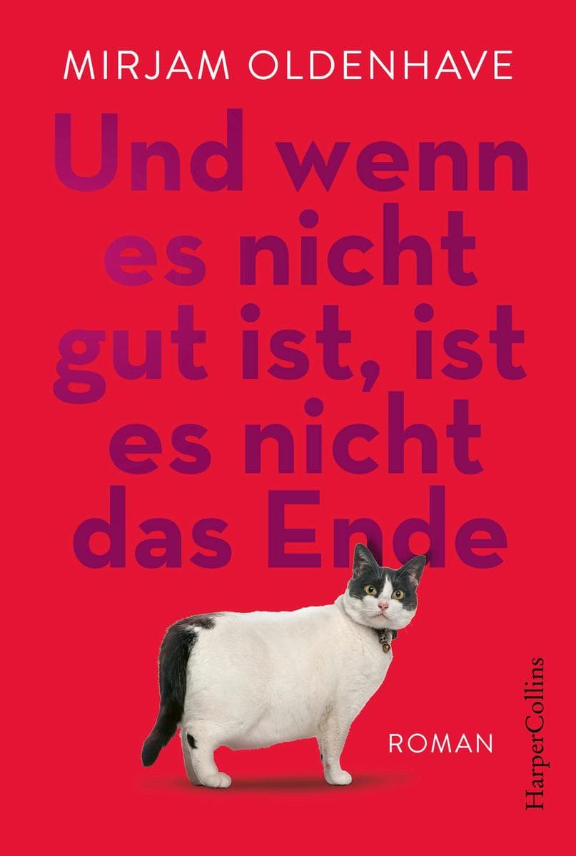 Und wenn es nicht gut ist, ist es nicht das Ende: Roman