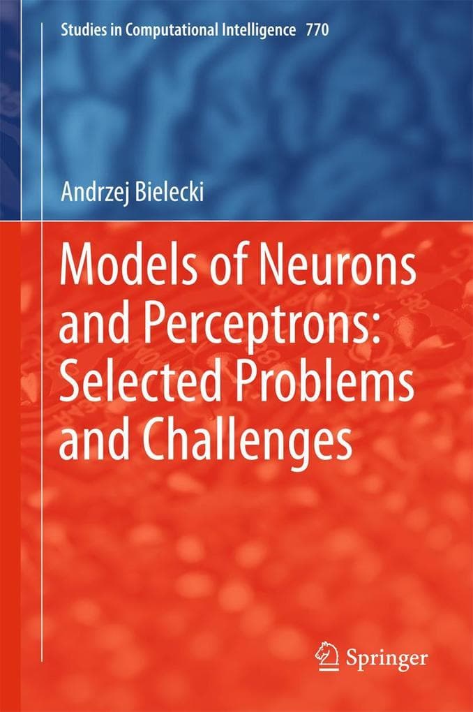 Models of Neurons and Perceptrons: Selected Problems and Challenges