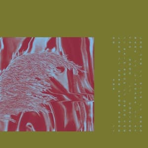 Here From Where We Are (180g LP)