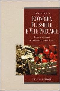 Economia flessibile e vite precarie. Lavoro e migrazioni nel racconto dei cittadini stranieri