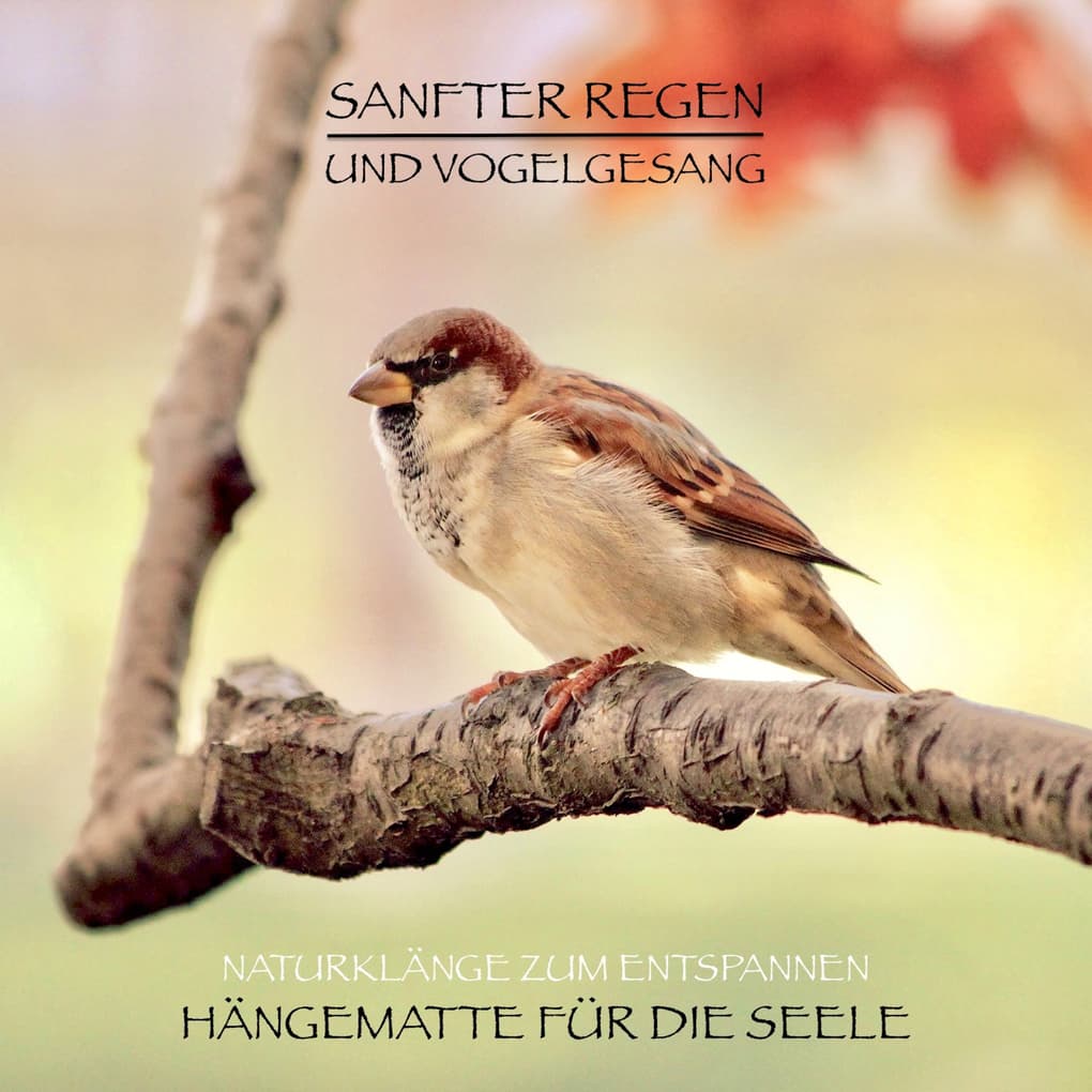 Sanfter Regen und Vogelgesang ' Naturklänge zum Entspannen
