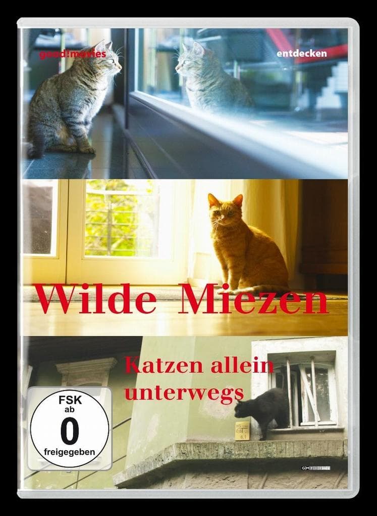 Wilde Miezen-Katzen allein unterwegs