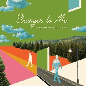 Stranger To Me (2LP)