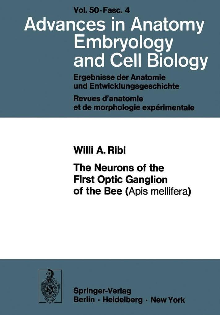 The Neurons of the First Optic Ganglion of the Bee (Apis mellifera)