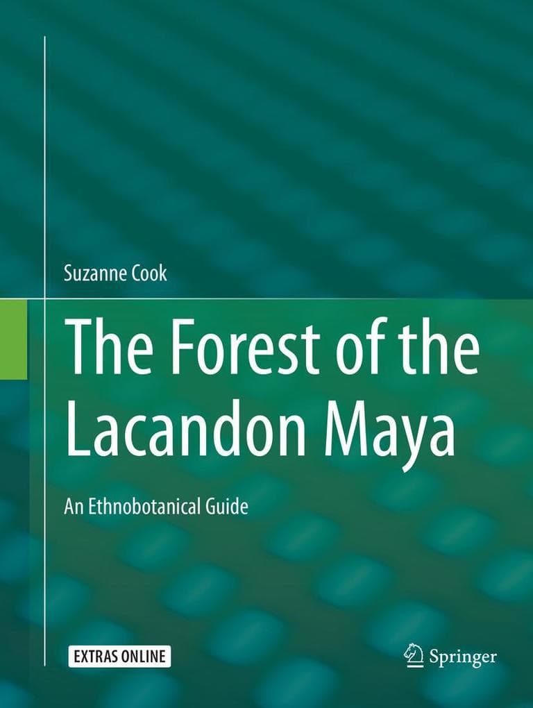 The Forest of the Lacandon Maya