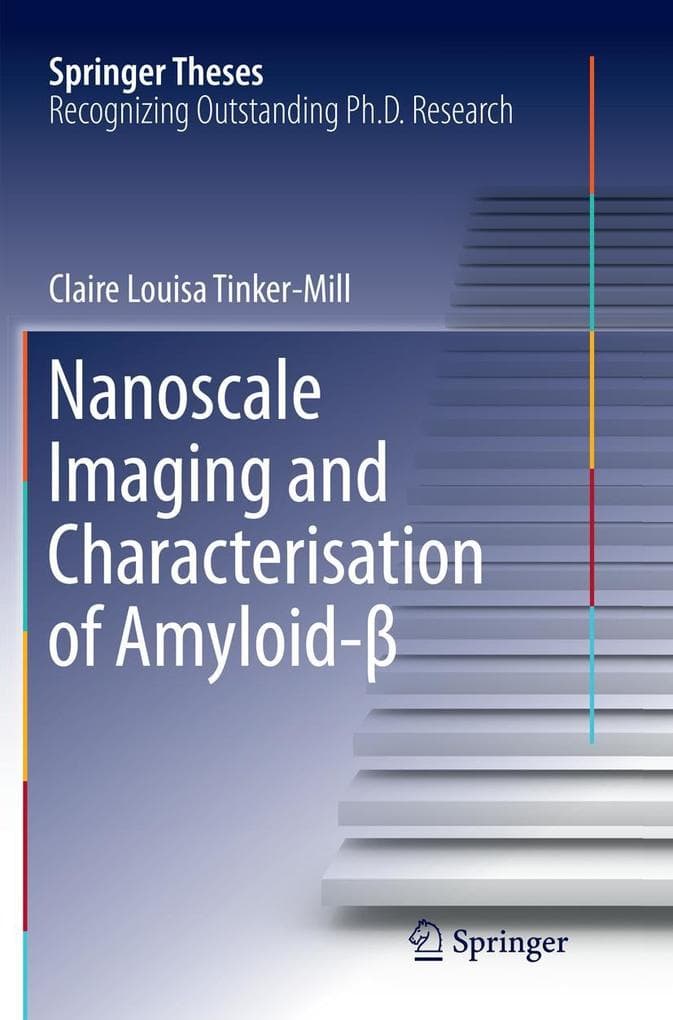 Nanoscale Imaging and Characterisation of Amyloid-