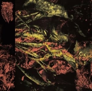 Permanent Destitution (Vinyl)