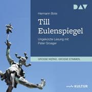 Till Eulenspiegel. Ein kurzweiliges Buch von Till Eulenspiegel aus dem Lande Braunschweig in 96 Hist