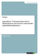 Jugendliche  Systemsprenger/innen . Möglichkeiten und Grenzen individueller Jugendhilfemaßnahmen