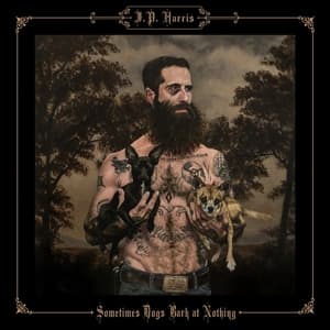 Sometimes Dogs Bark at Nothing (LP)