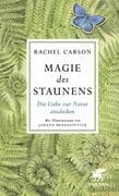 Magie des Staunens
