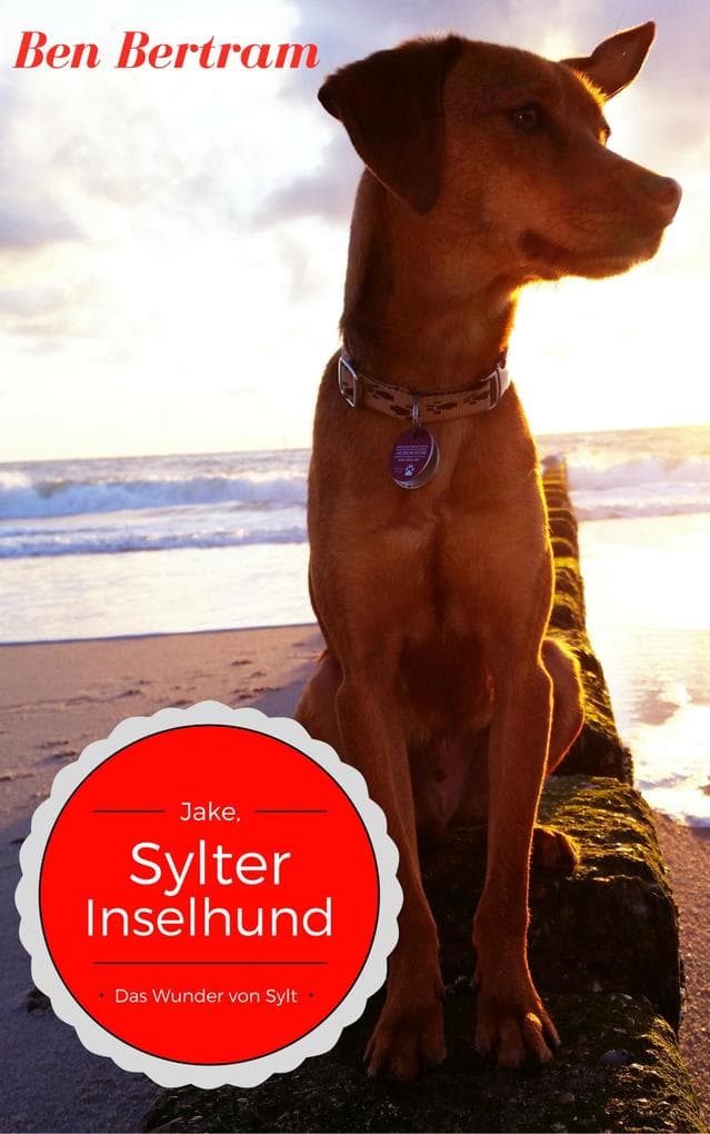 Das Wunder von Sylt