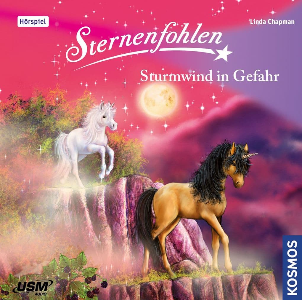 Sternenfohlen - Sturmwind in Gefahr,1 Audio-CD