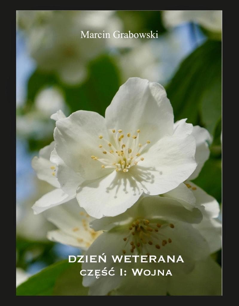 Dzien Weterana