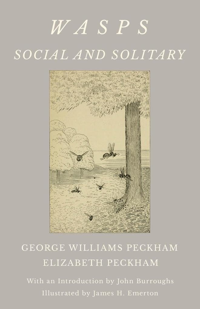 Wasps - Social and Solitary;With an Introduction by John Burroughs - Illustrated by James H. Emerton