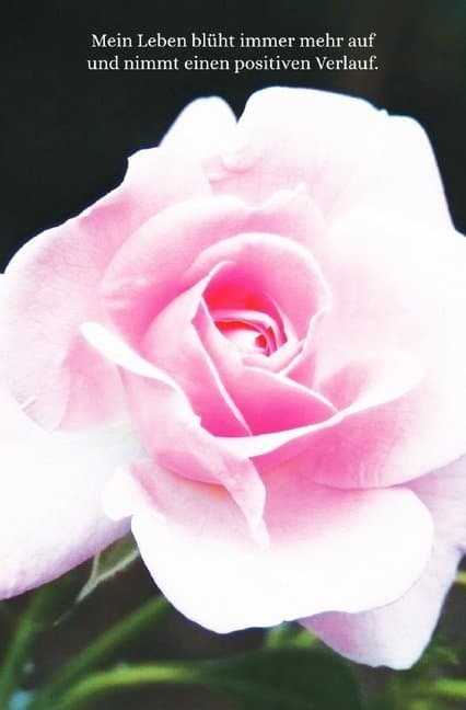 Schreibwandel Notizbuch "rosa Rose" (mit Reim-Affirmation)