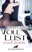 VollLust   22 Erotische Geschichten