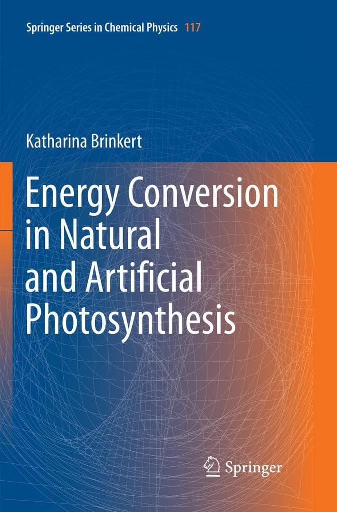 Energy Conversion in Natural and Artificial Photosynthesis