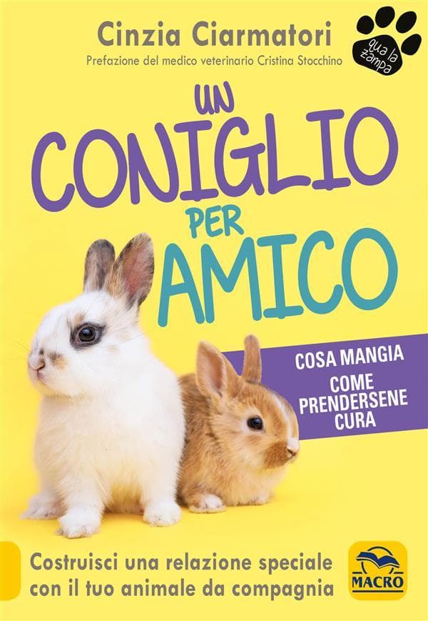 Un coniglio per amico