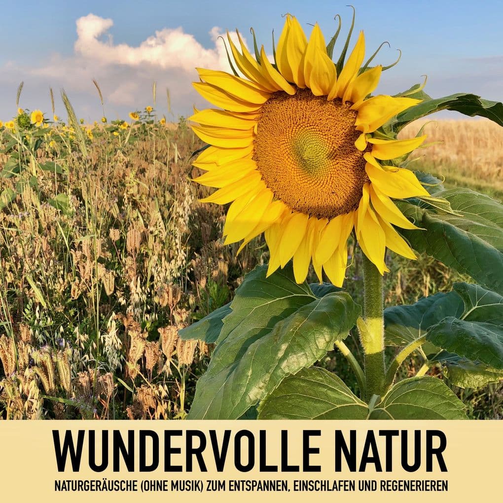 Wundervolle Natur: Naturgeräusche (ohne Musik) zum Entspannen, Regenerieren und Einschlafen