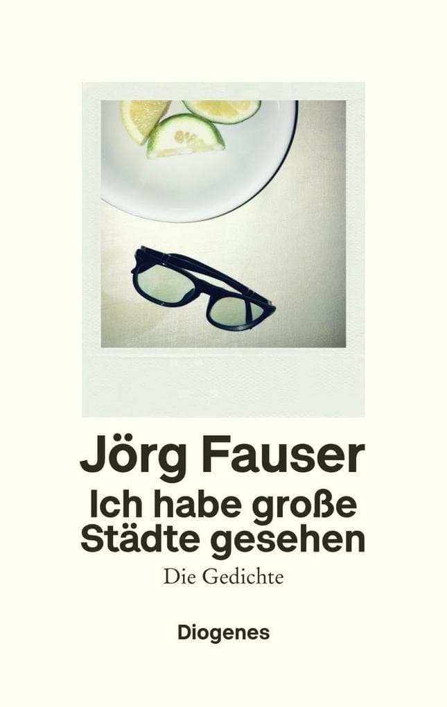 Ich habe große Städte gesehen: Die Gedichte