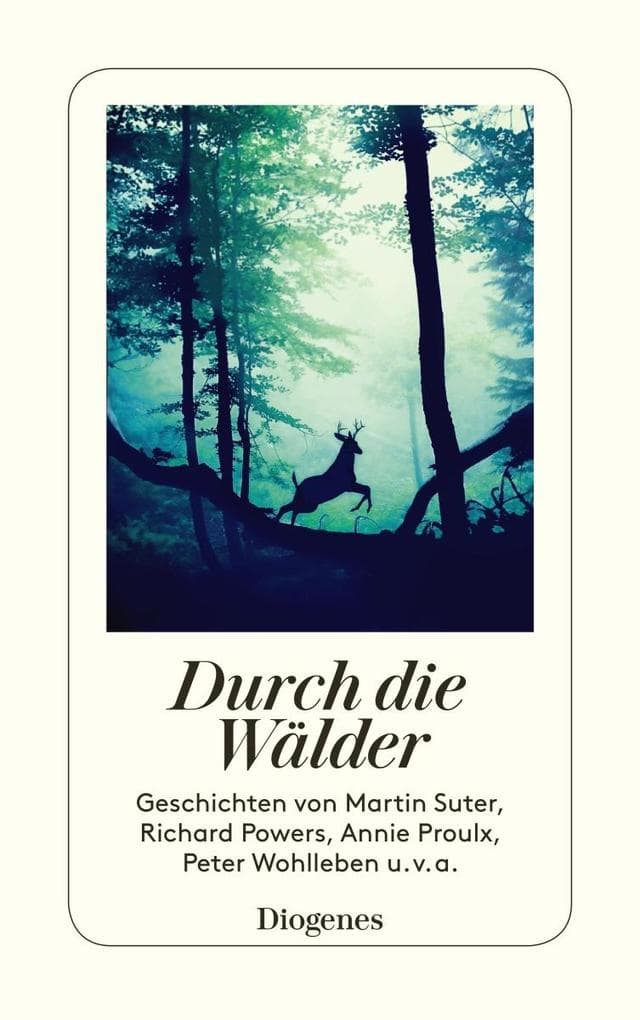Durch die Wälder: Ein Waldspaziergang der besonderen Art