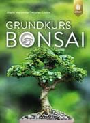 bonsai schneiden lernen Bonsai Grundkurs