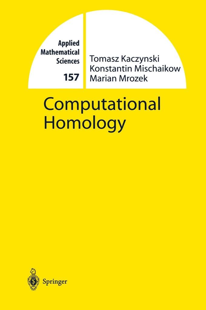 Computational Homology