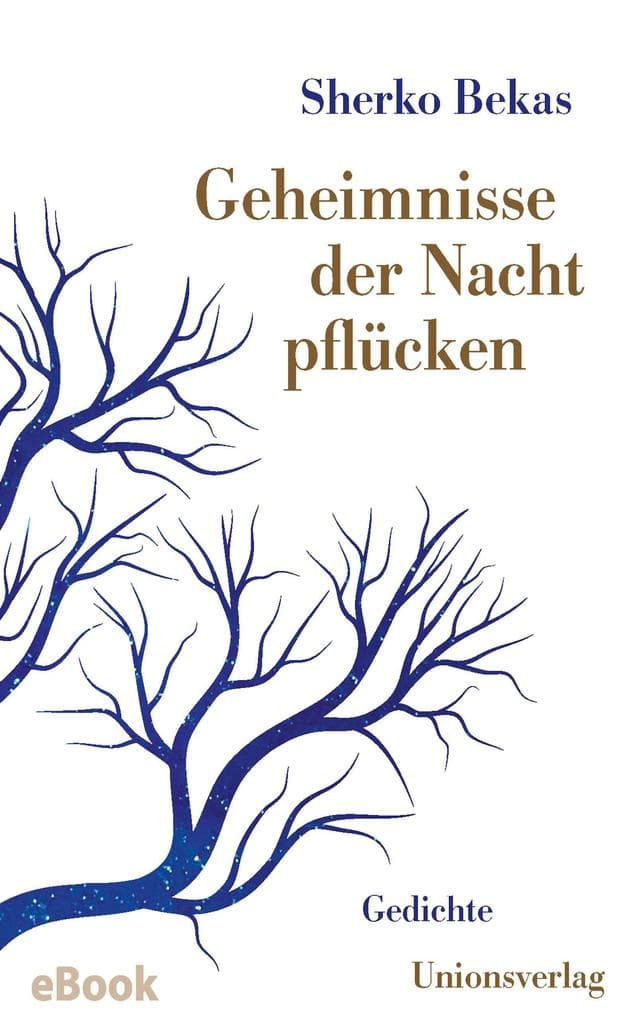 Geheimnisse der Nacht pflücken: Mit einem Vorwort von Bachtyar Ali. Gedichte