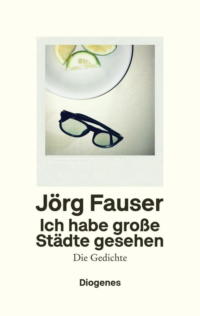Ich habe große Städte gesehen: Die Gedichte