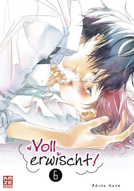 Voll erwischt!. Bd.6.Bd.6
