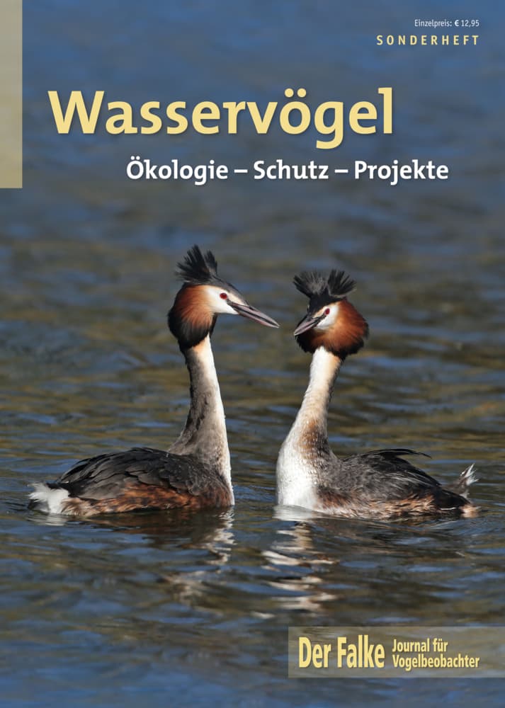 Wasservögel